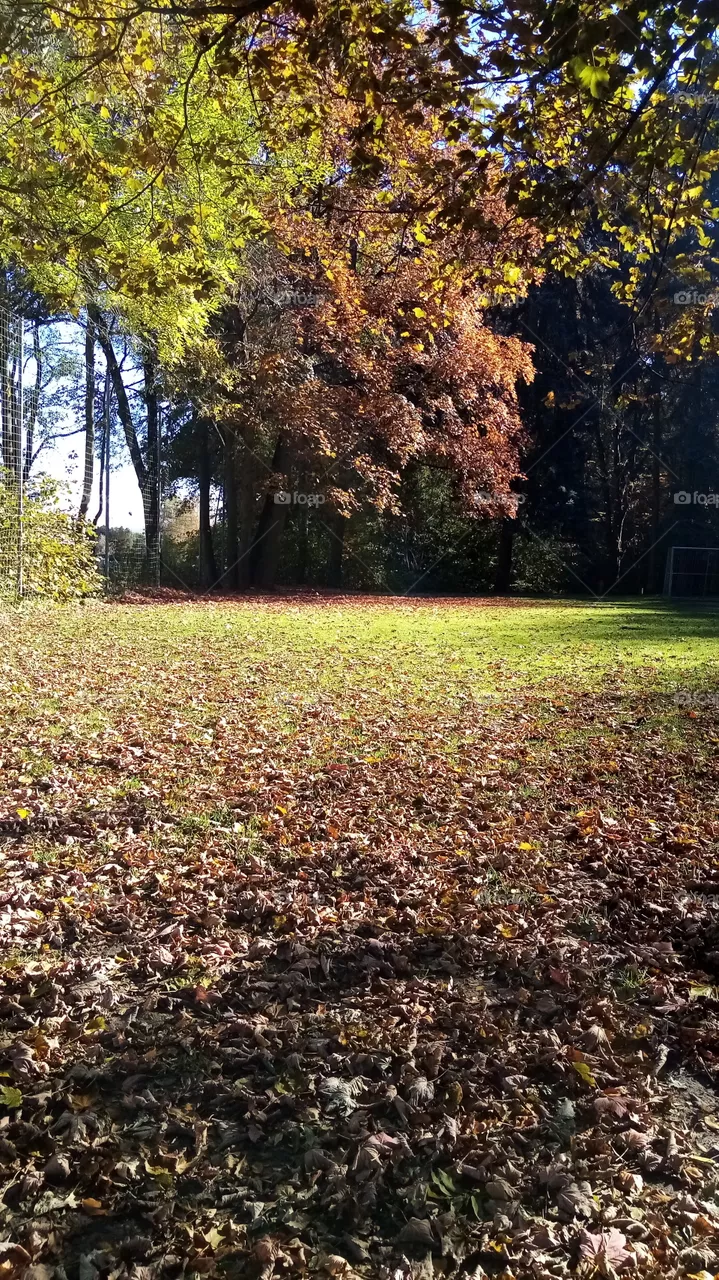 Herbst