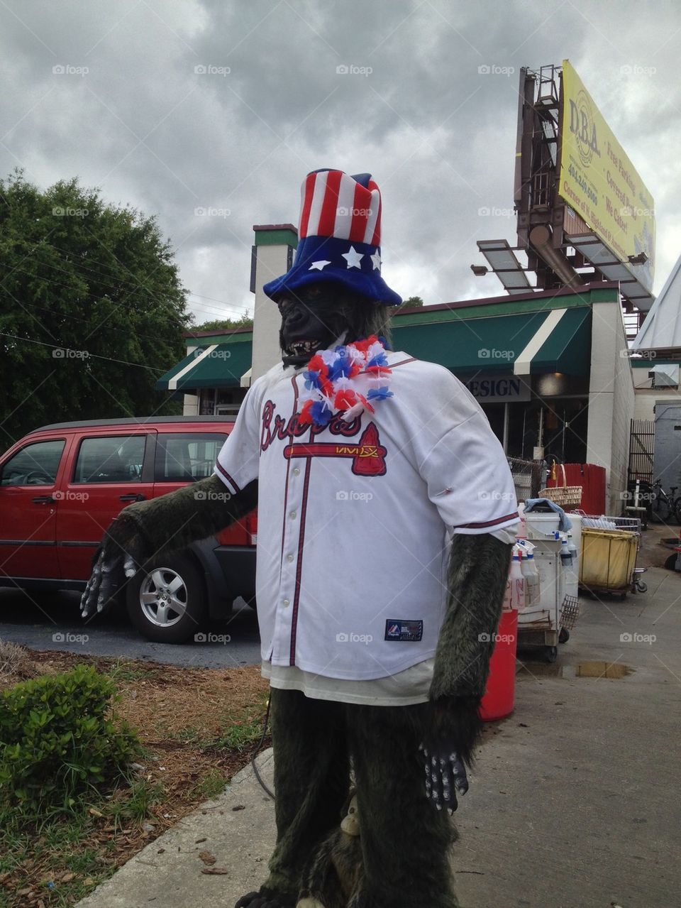 Patriotic Southern Gorilla