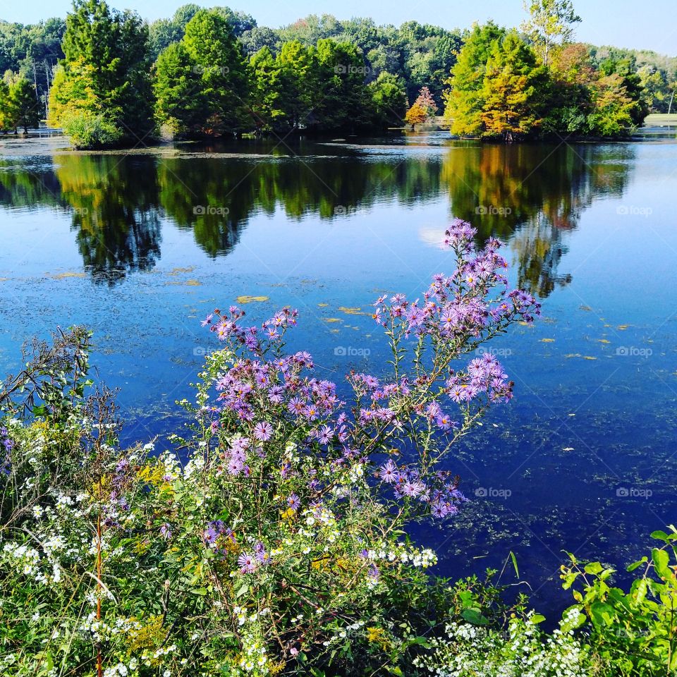 Reflections of summertime