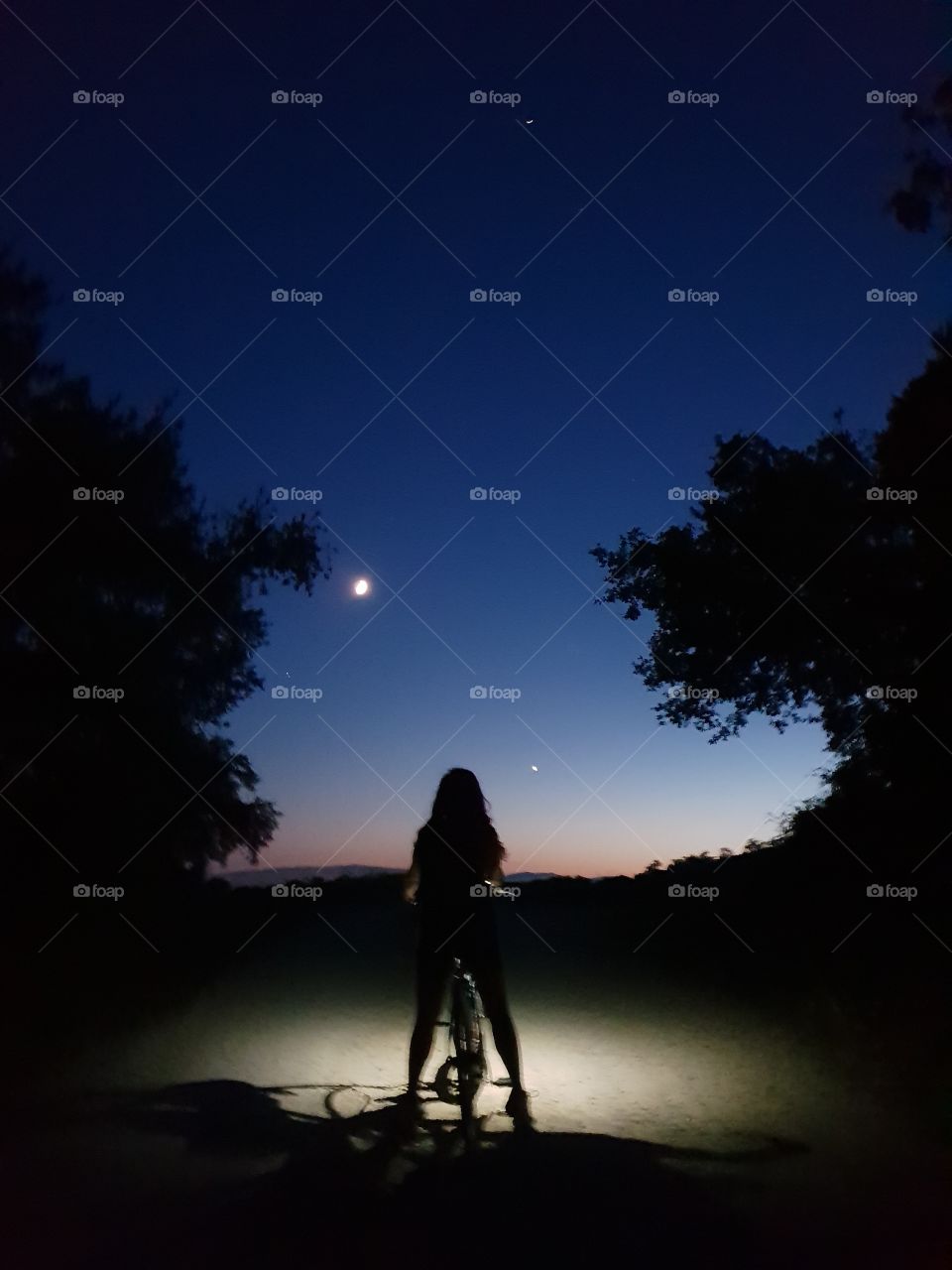 Atardecer primaveral.
¿Qué lee el hombre que no tiene mujer?
(Masaoka Shiki)