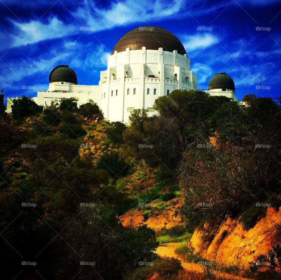 Griffith Park, LA, Cali