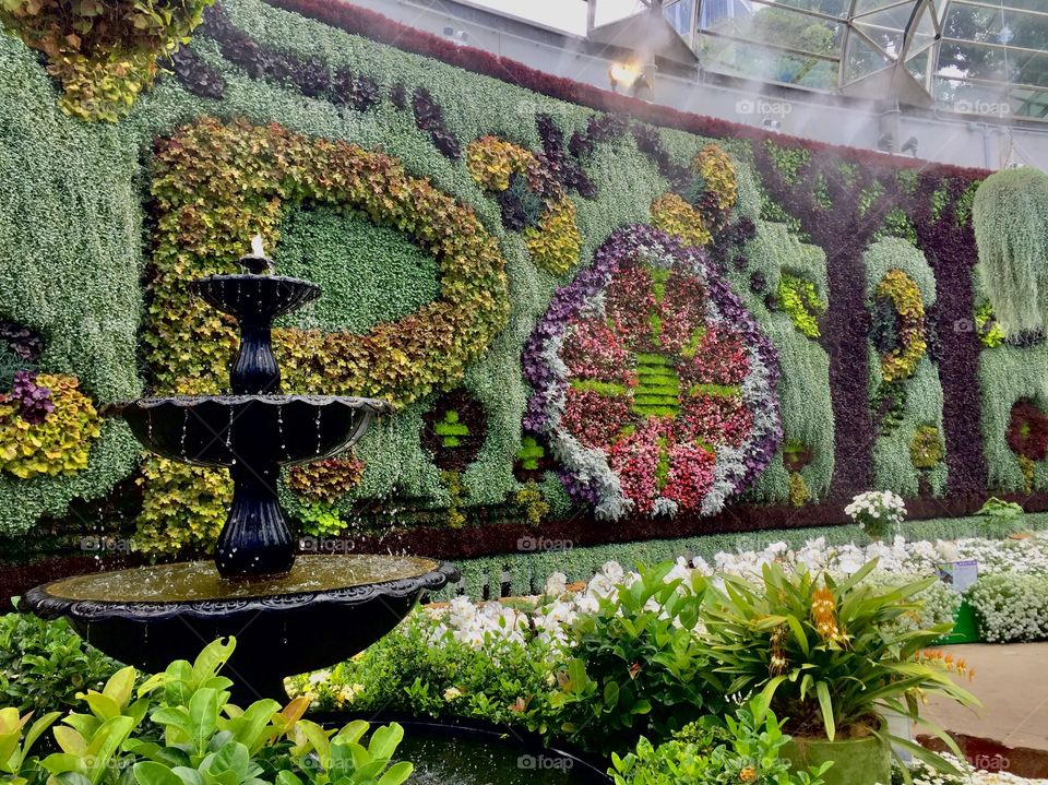 Flower wall and fountain 