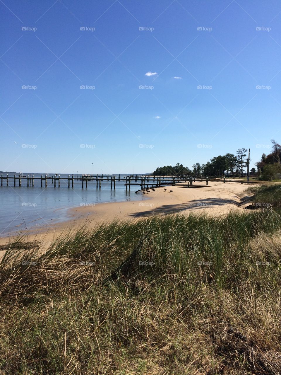 Beach front 