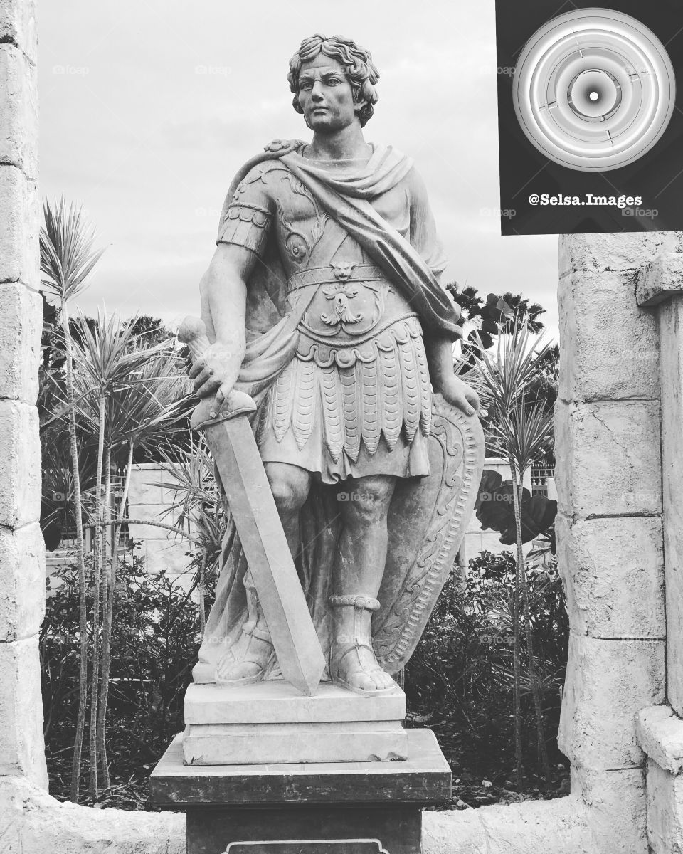 @Selsa.Images collage 