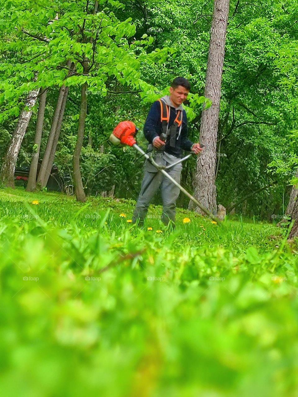 A park.  Green grass among the trees.  man cutting grass