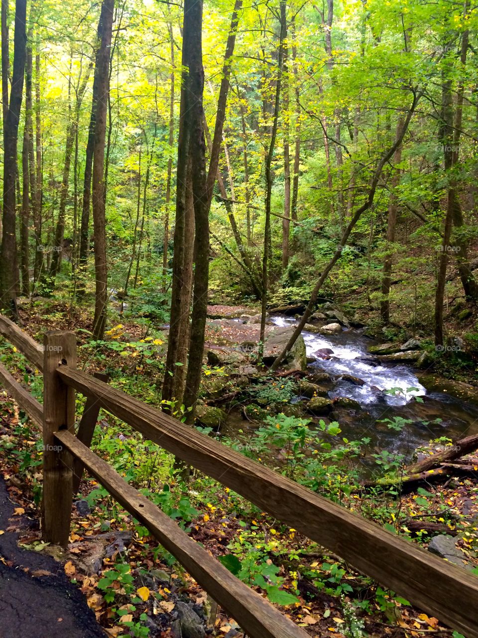 Mountain trail