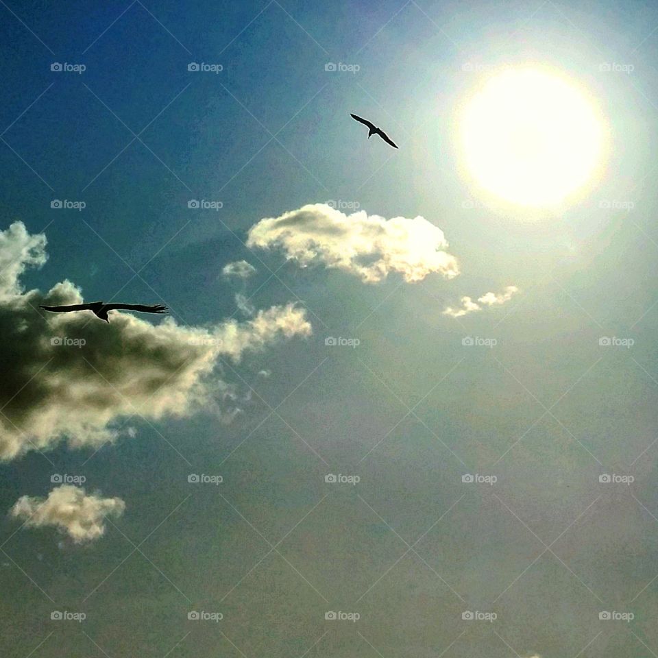 Flying close to the sun. Fenix