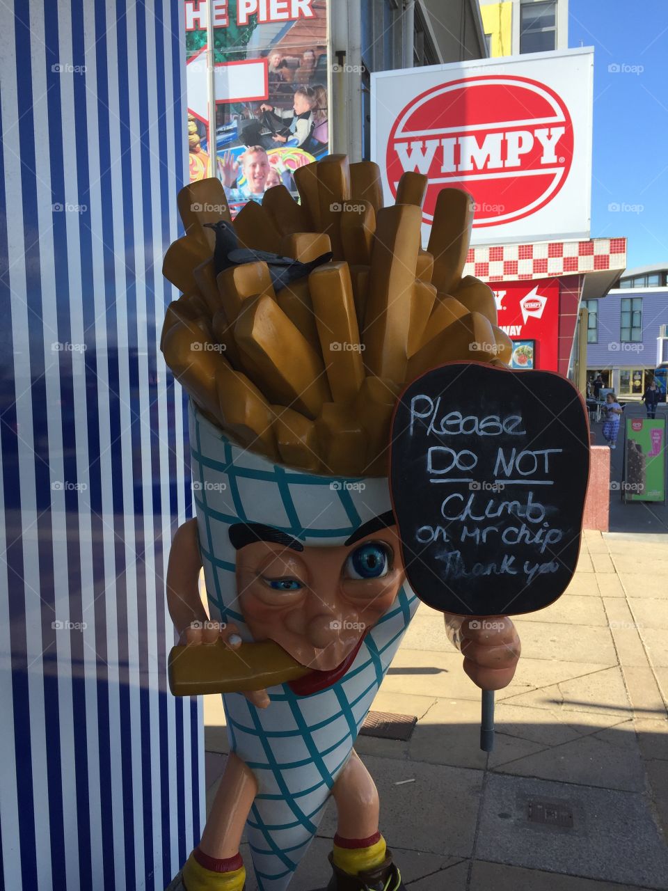 Pigeon and chips at the seaside