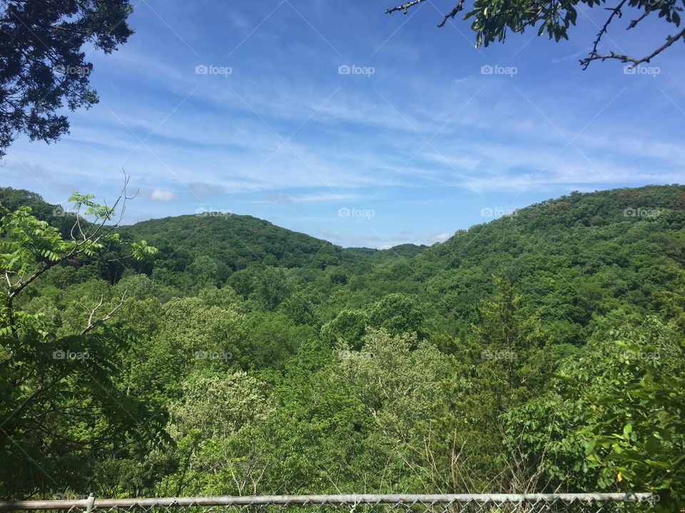 Hike view