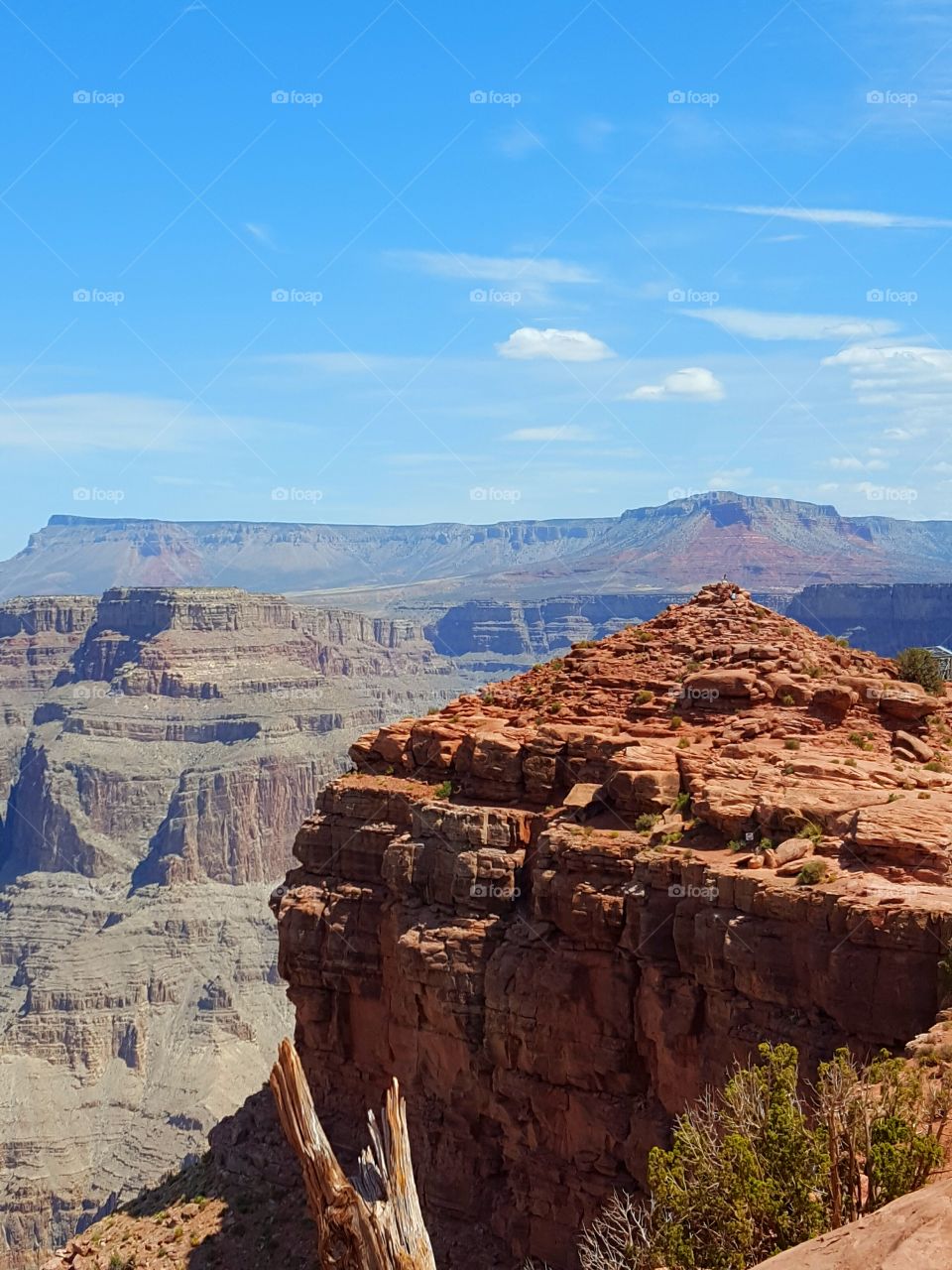 Grand canyon