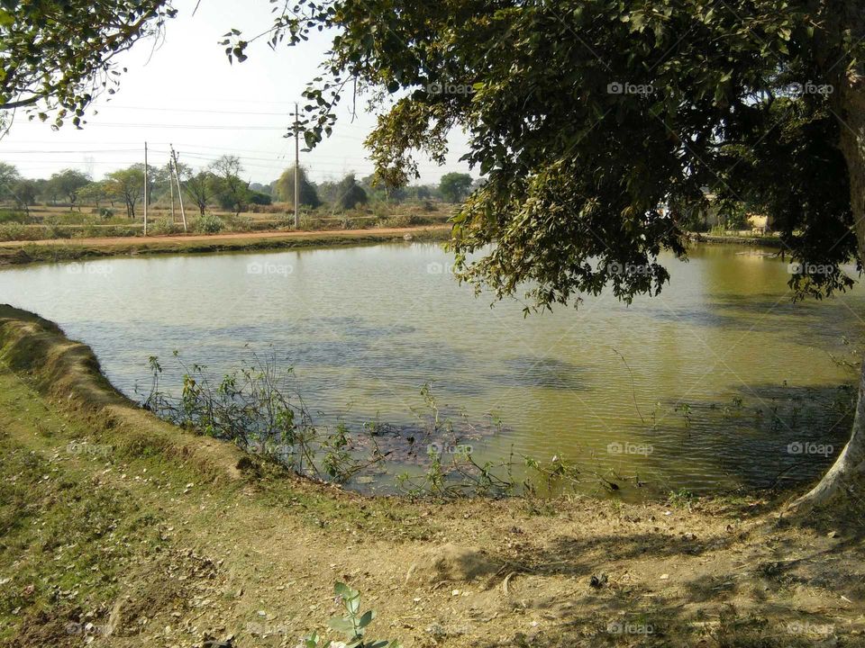pool near villages in india