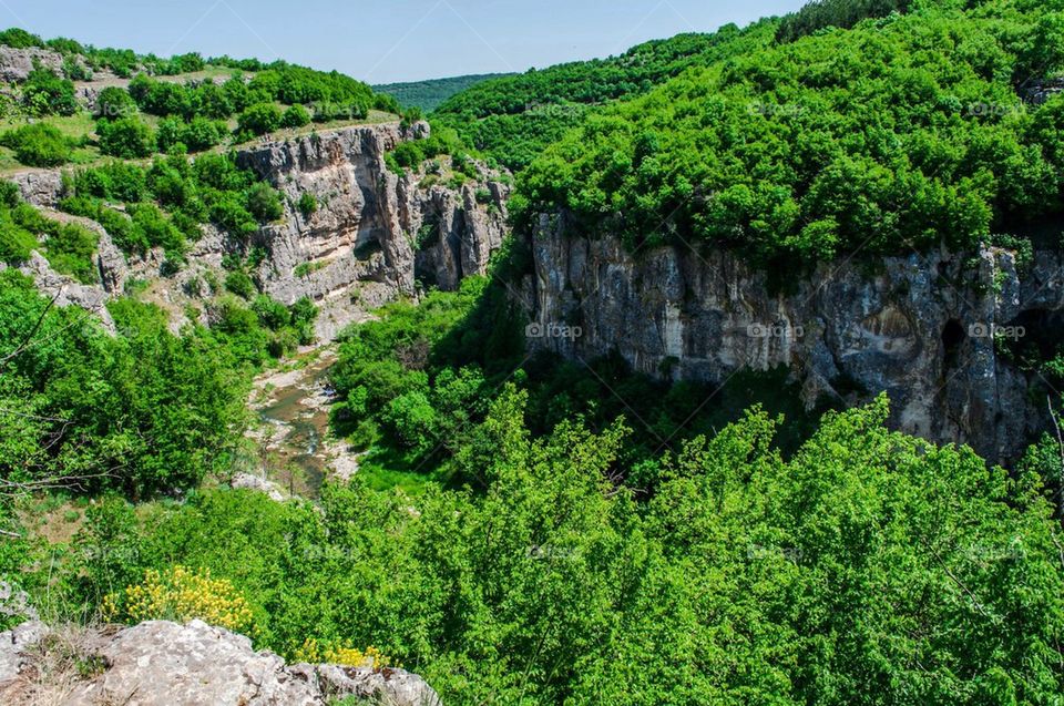 landscape green spring nature by severina1