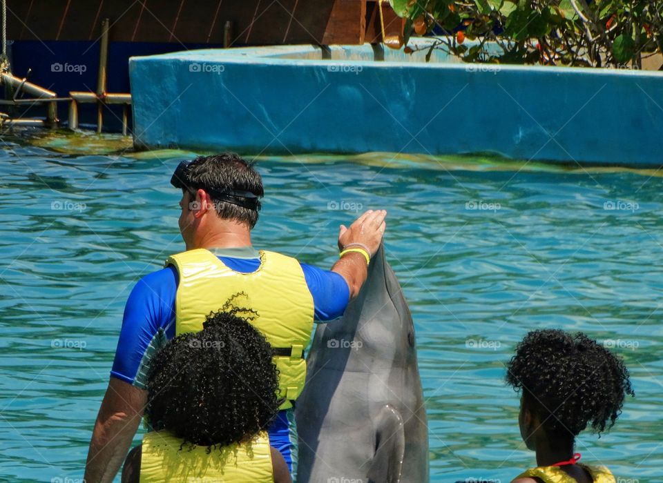 Swimming With Dolphins
