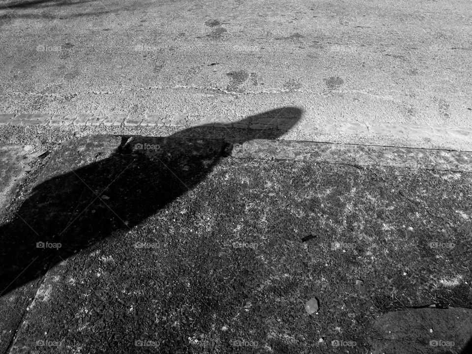 Shadow On Concrete 