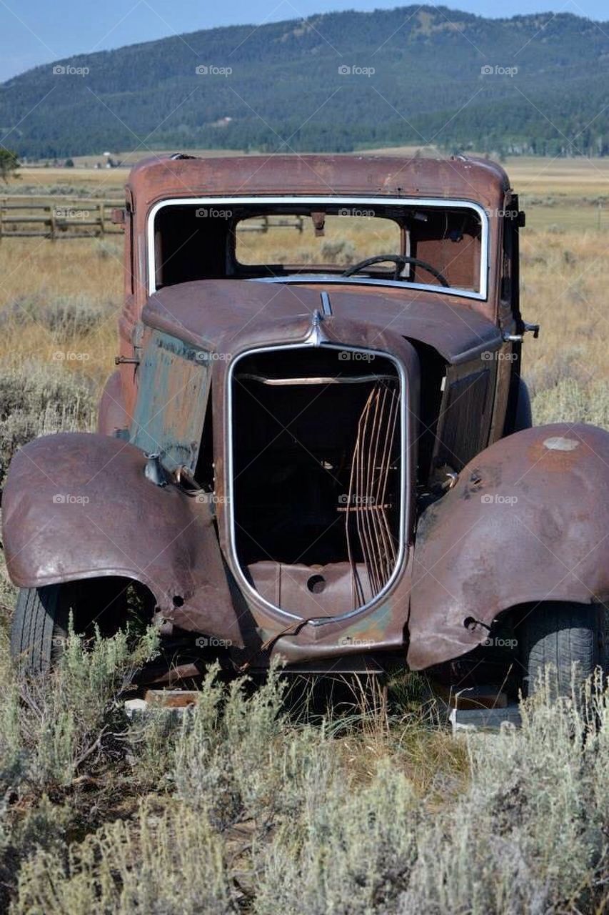 Stranded in Yellowstone 