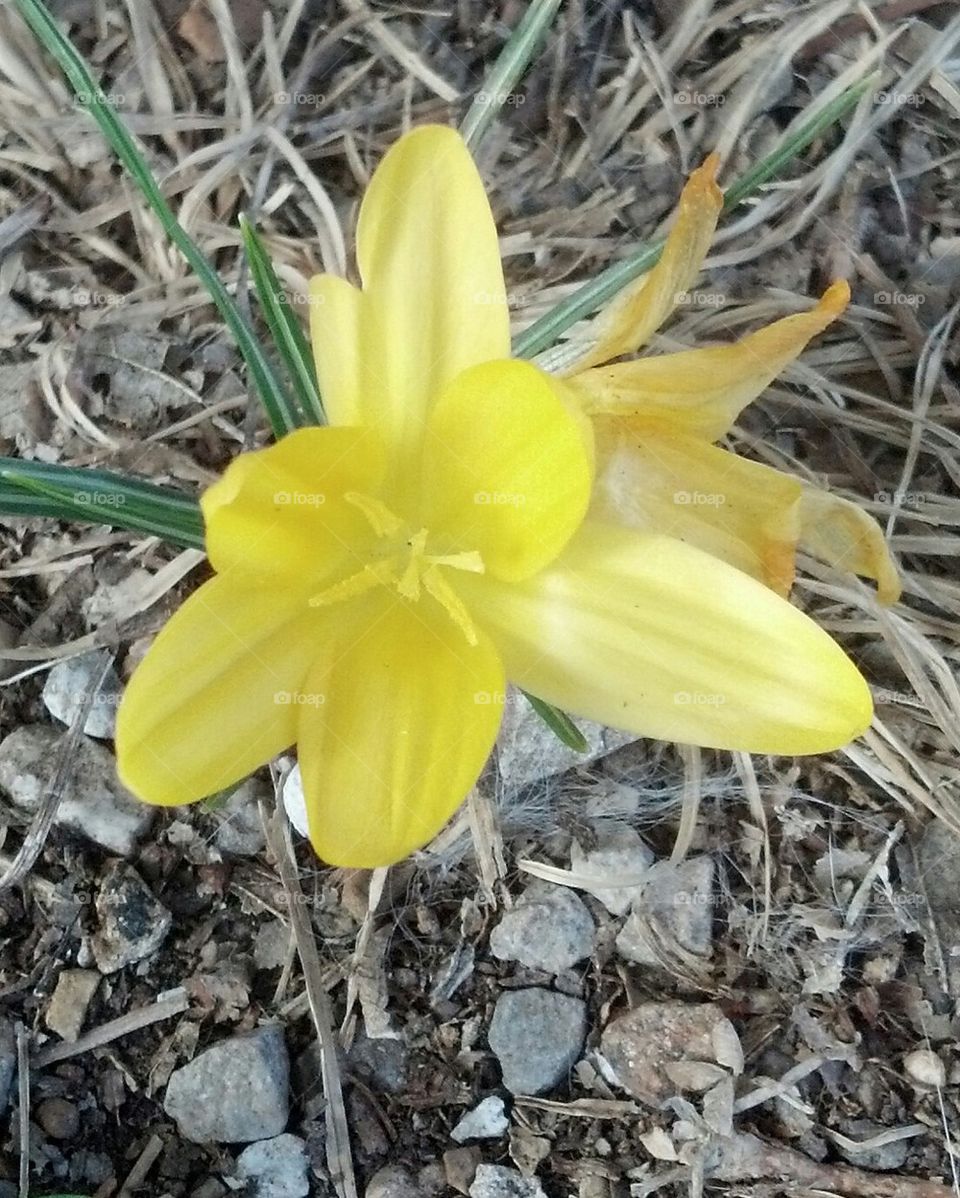 signs of spring