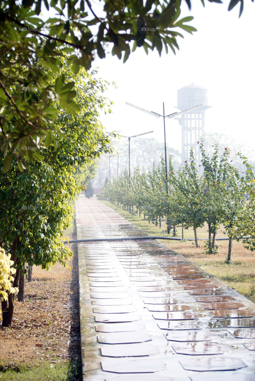 A freshly washed pathway on a foggy winter day, brings back good memories of days well spent.