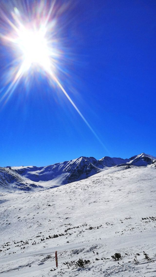 Sunny day