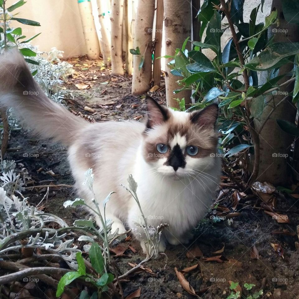 Albert in the great outdoors.