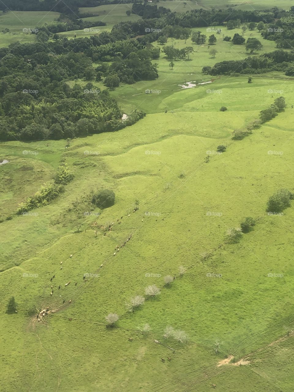 Green valley 🇨🇴