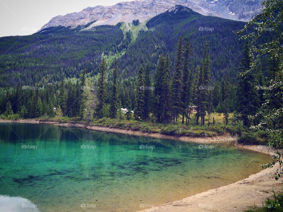 Took a pit stop along the TransCanada during our trip from Banff to Kelowna 