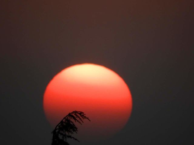 sunsets