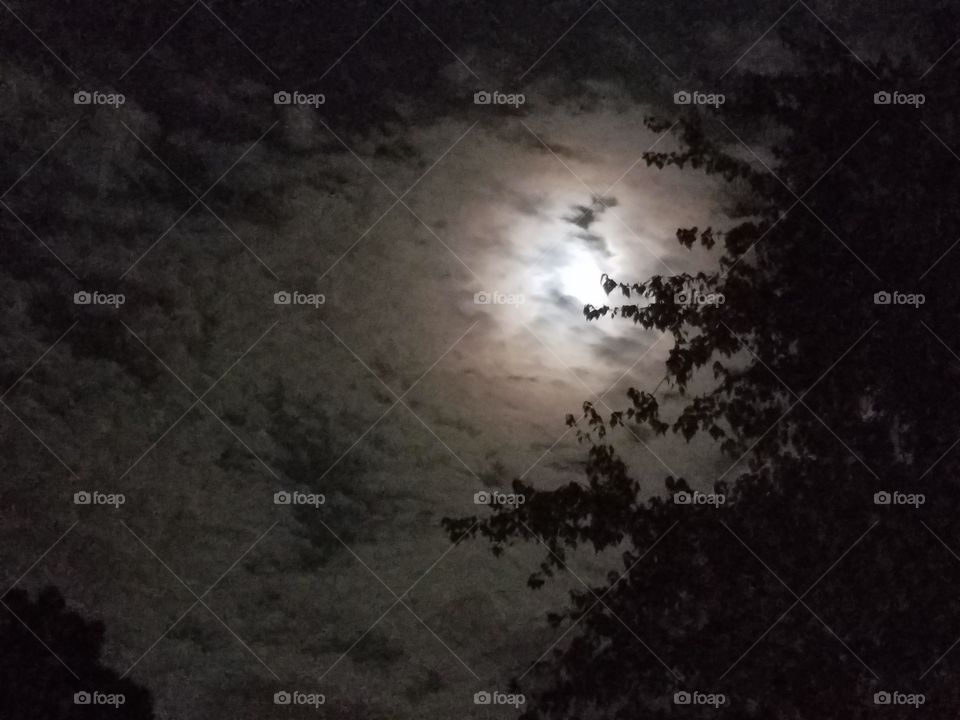 Moon View 7