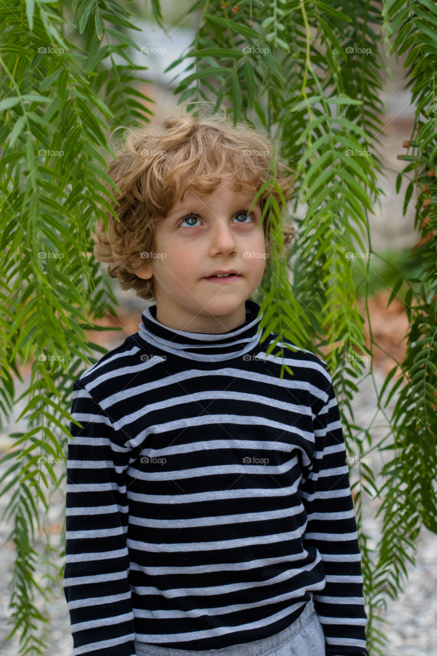 blonde boy with blue eyes looking at the hanging branches of a green tree
