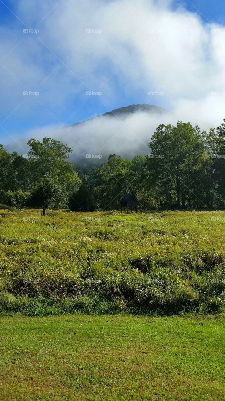 beautiful foggy mountain