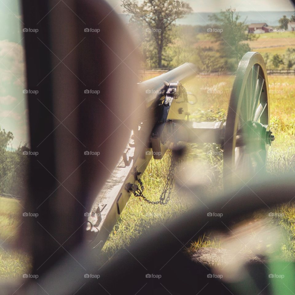 Nature, Wheel, Grass, Summer, Outdoors