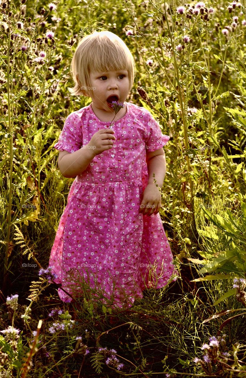 Little girl in a burdock field