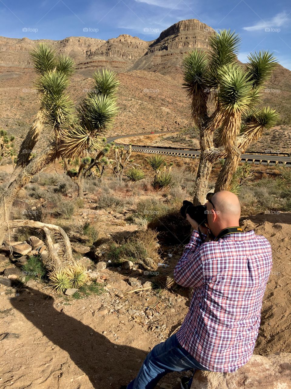 Taking a picture of a cactus