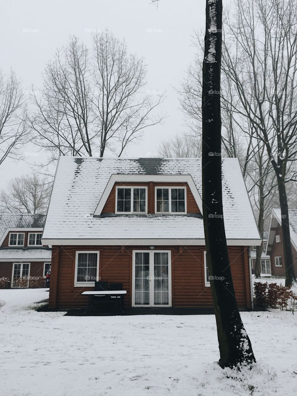 Snow house

