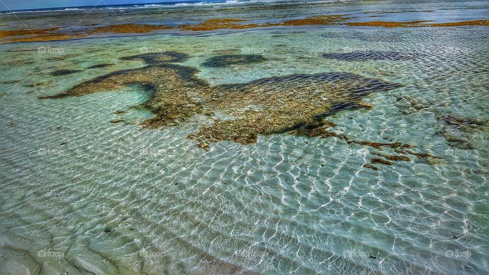 crystal clear water of a sea beach at the afternoon