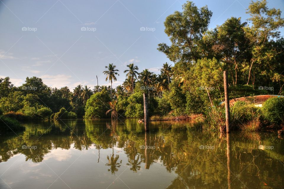 Neyyar dam with trees, Kerala in India