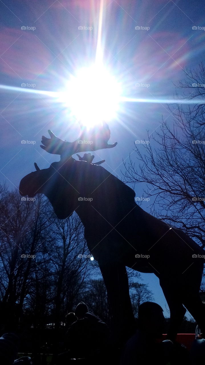 Elk. Sculpture in Vyborg.