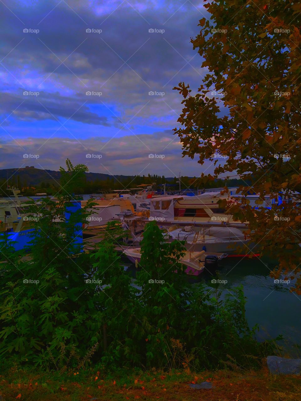 les roches de Condrieu