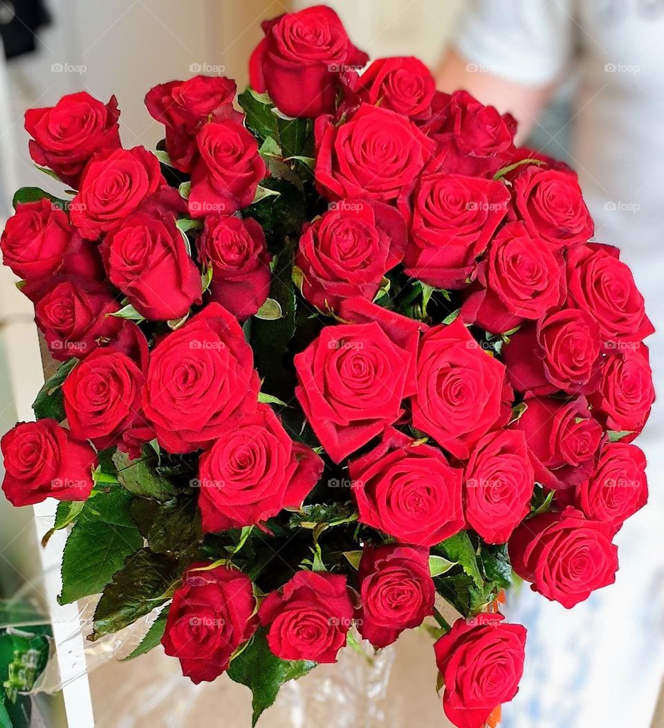 Beautiful roses 🌹