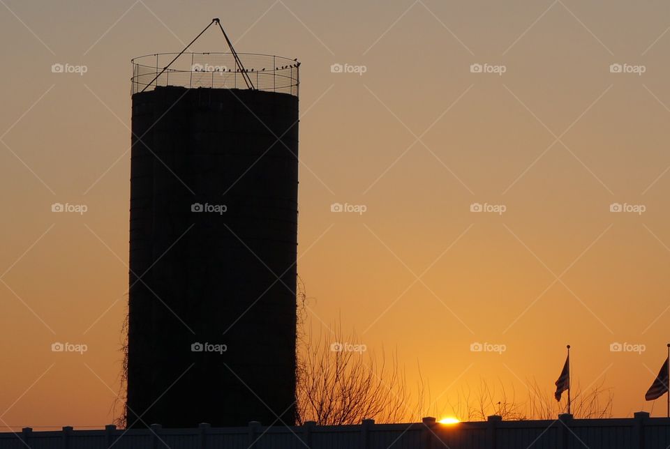 Bird atop a silo Silhouette at sunset