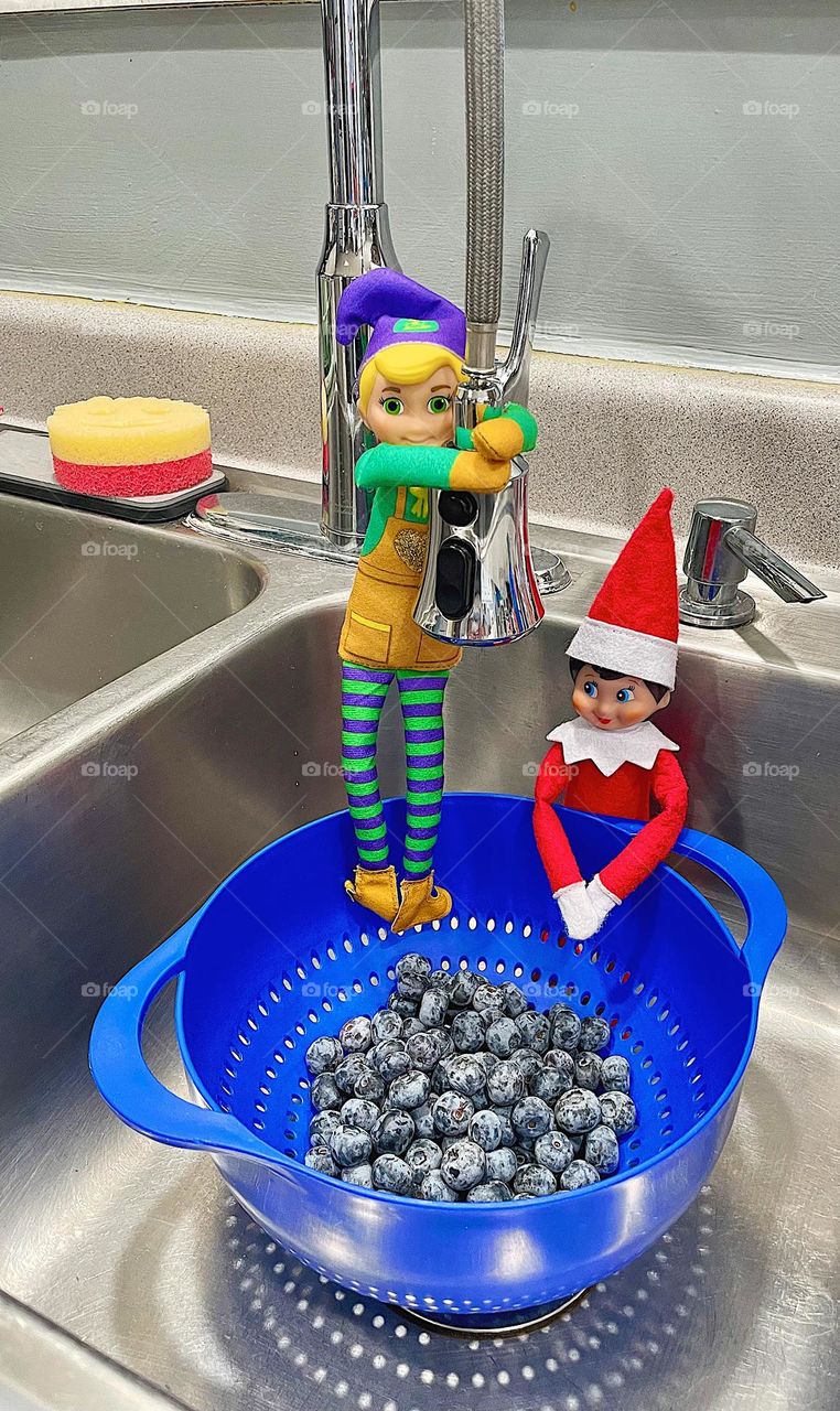 Elf on the shelf antics, the elves wash blueberries for a treat for the kids, elves being helpful, making use of the elves 