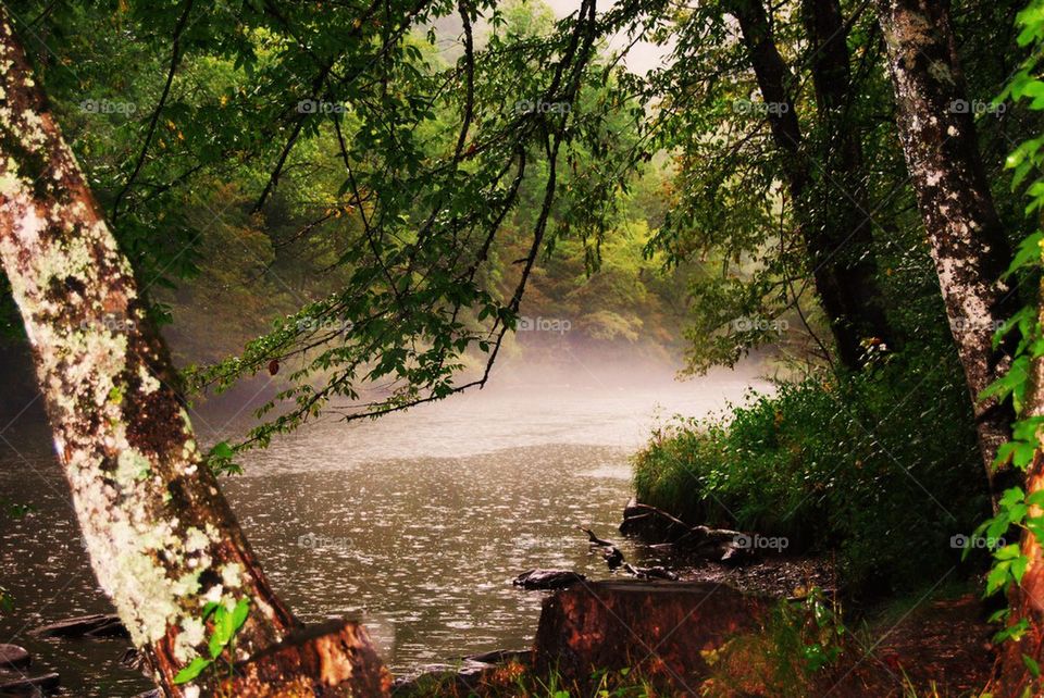 River in the fog