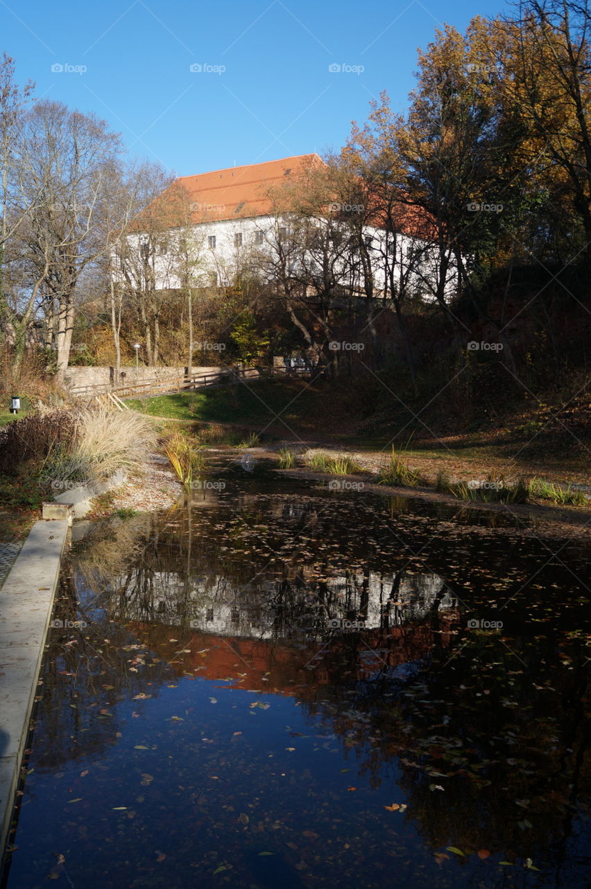 Spiegelung