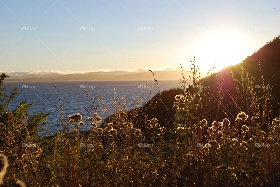 Sunshine over coast