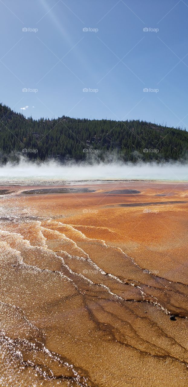 Grand Prismatic Spring Yellowstone