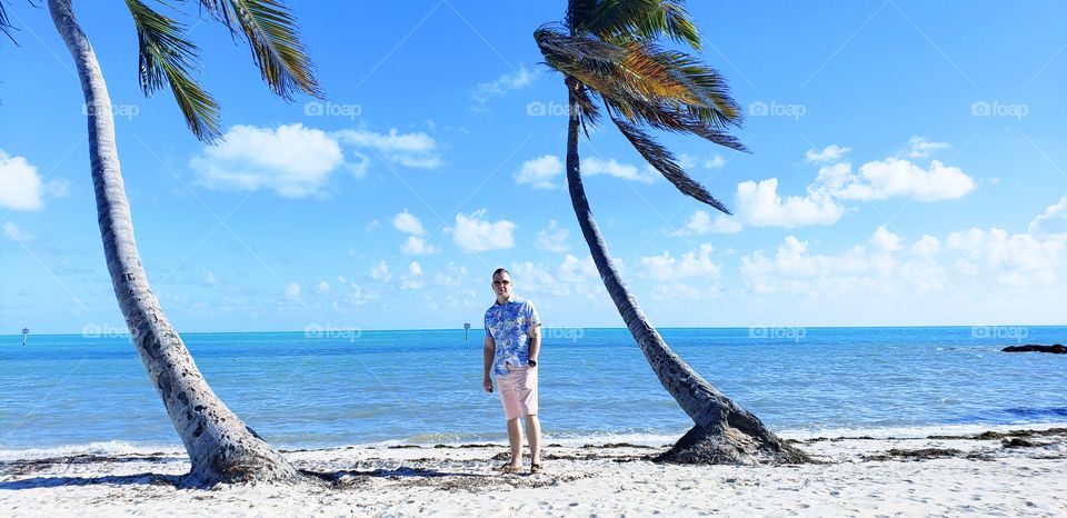 Key West, palm trees, island, breeze