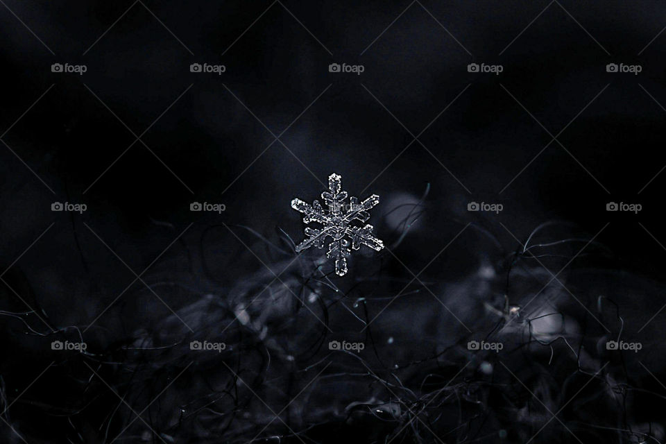 The lone snowflake