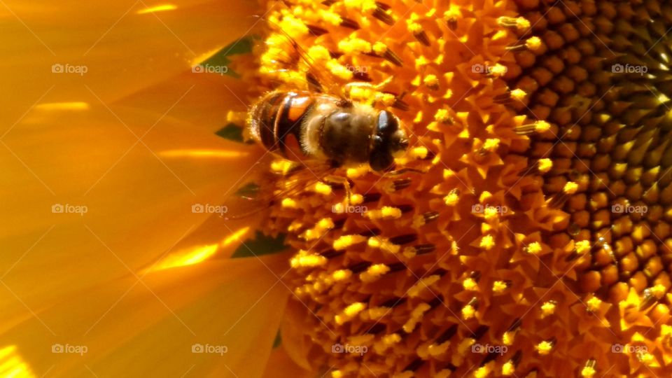 The Beauty Which Surrounds Us