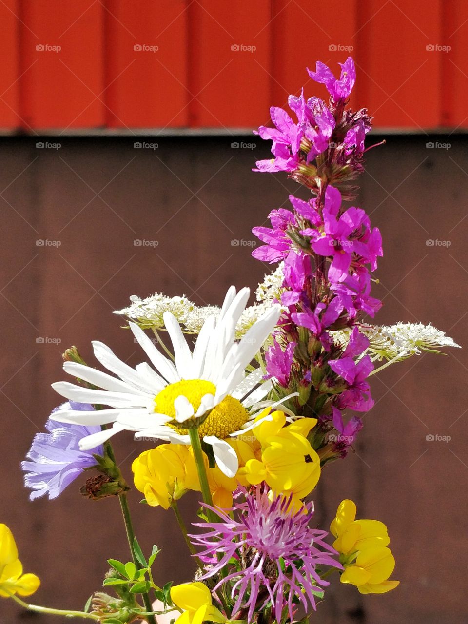 bouquet of flowers in bright sunlight