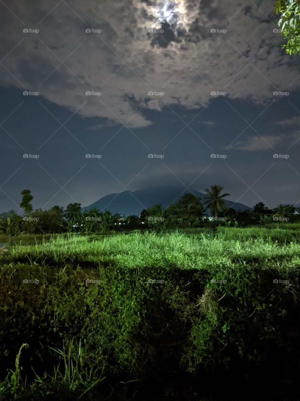 night view in the countryside🏞️