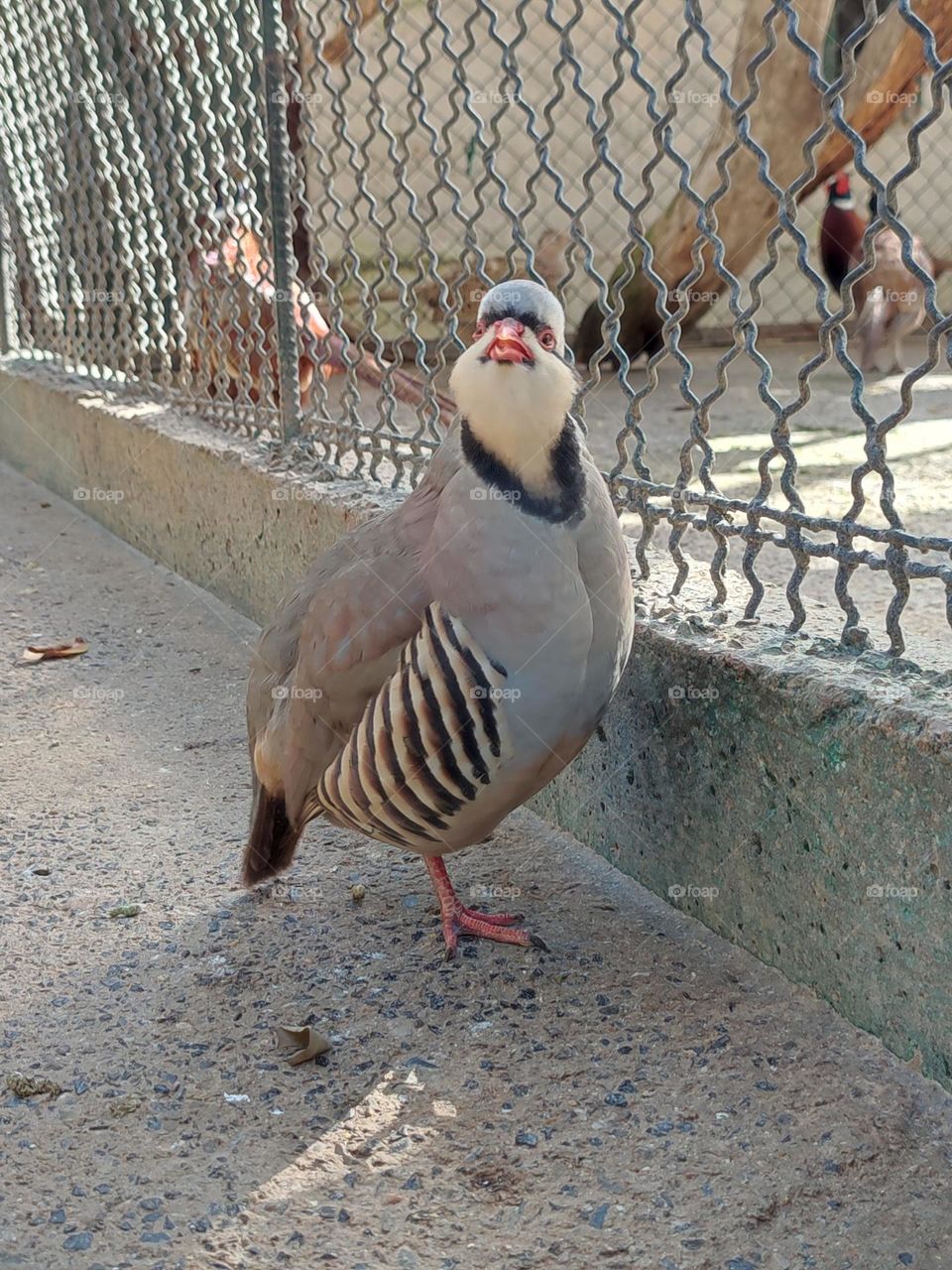 surprise expression while taking a pic